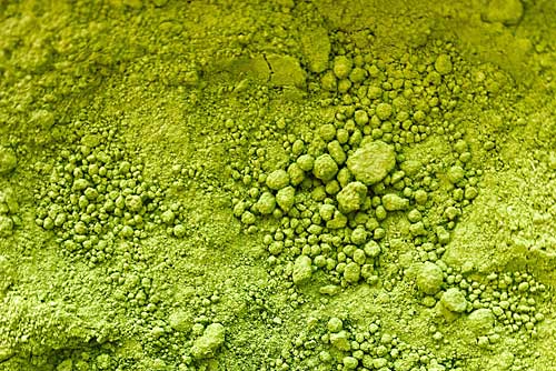 La spiruline est une algue